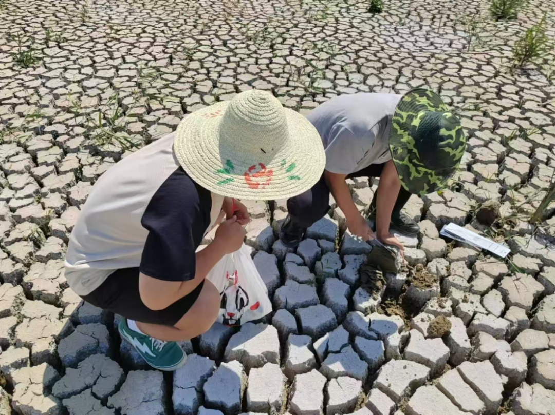 中色地科|礦產(chǎn)勘查|