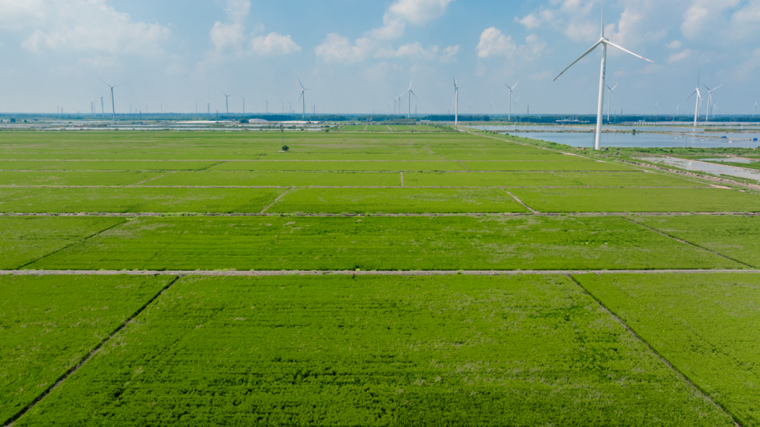 中色地科|礦產(chǎn)勘查|